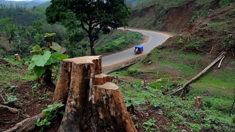 Χάθηκαν 430 εκατομμύρια στρέμματα δασών στα κύρια «μέτωπα», σύμφωνα με το WWF Χάθηκαν 430 εκατομμύρια στρέμματα δασών στα κύρια «μέτωπα», σύμφωνα με το WWF