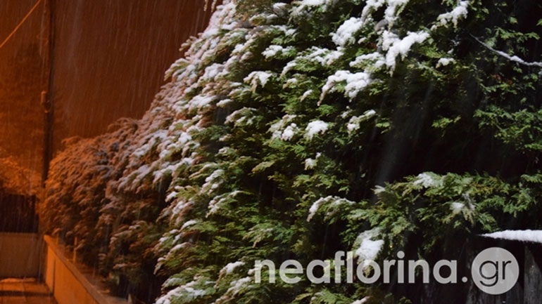 Έπεσαν τα πρώτα χιόνια στη Φλώρινα Έπεσαν τα πρώτα χιόνια στη Φλώρινα