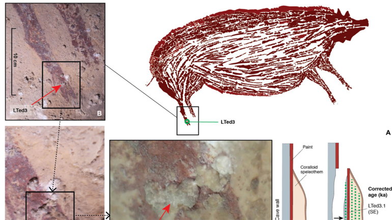 Ινδονησία: Ανακαλύφθηκε η αρχαιότερη σπηλαιογραφία – Αλλάζει την ιστορία του Homo Sapiens