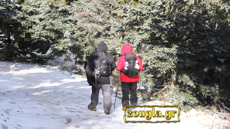 Τα πρώτα χιόνια στην Πάρνηθα – Δείτε εικόνες