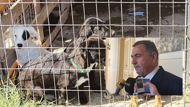 Η απάντηση του αντιδημάρχου Σερρών για τις συνθήκες στο κυνοκομείο