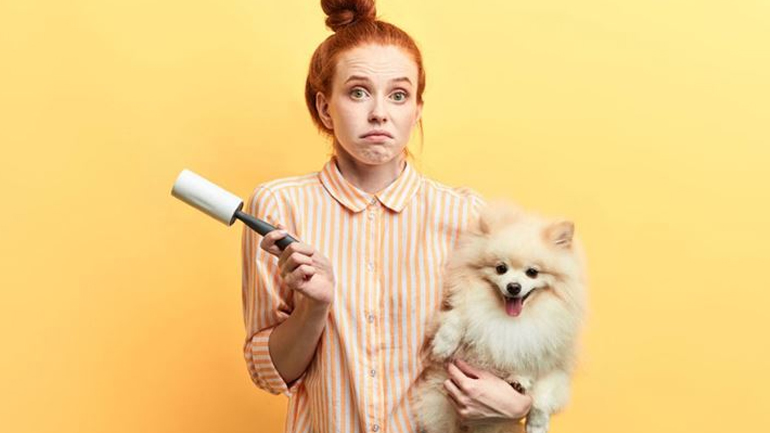 Γιατί αλλάζει το τρίχωμα του σκύλου;