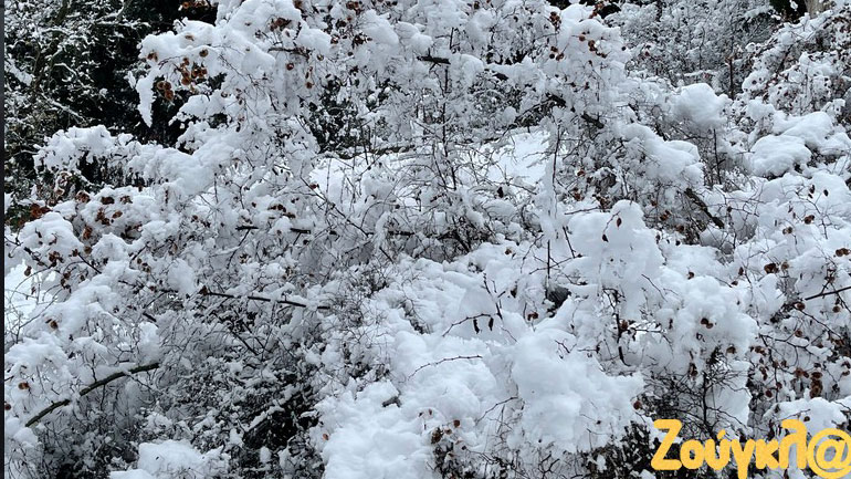 Άσπρη μέρα είδαν και στη Θεσσαλία