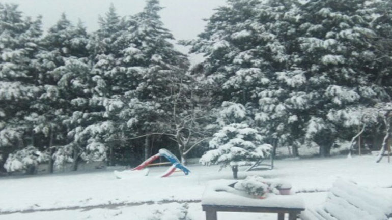 Μυτιλήνη: Προβλήματα από τις χιονοπτώσεις – Ποια σχολεία δεν θα λειτουργήσουν στη Δυτική Λέσβο