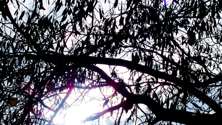 Ο καιρός σήμερα