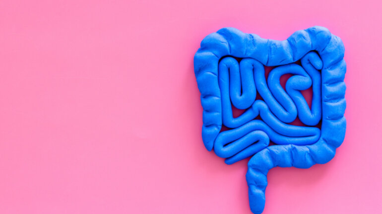 Σύνδρομο ευερέθιστου εντέρου: Μια πιθανή αιτία