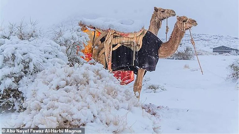 Χιόνισε και στην έρημο Σαχάρα
