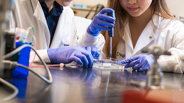 Το έντερο και τα άλλα όργανα του σώματος είναι πιθανό  να έχουν σεξουαλική ταυτότητα