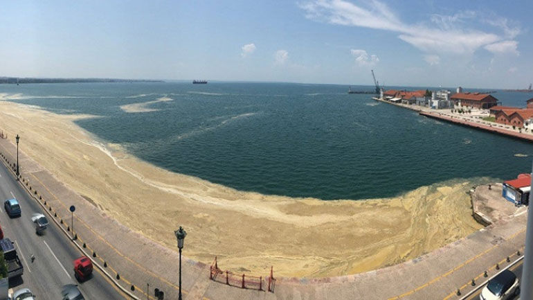 Δικογραφία σε βάρος δύο στελεχών εταιρείας για απόρριψη αποβλήτων σε ρέμα που καταλήγει στον Θερμαϊκό Δικογραφία σε βάρος δύο στελεχών εταιρείας για απόρριψη αποβλήτων σε ρέμα που καταλήγει στον Θερμαϊκό