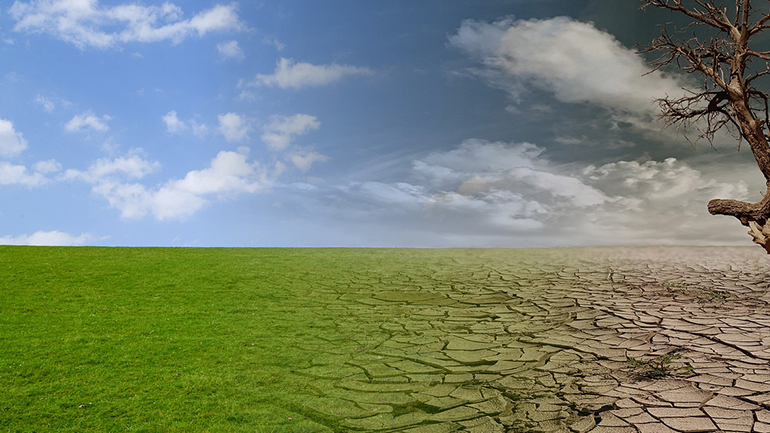 Μειώνει η κλιματική αλλαγή τον αριθμό των γεννήσεων;