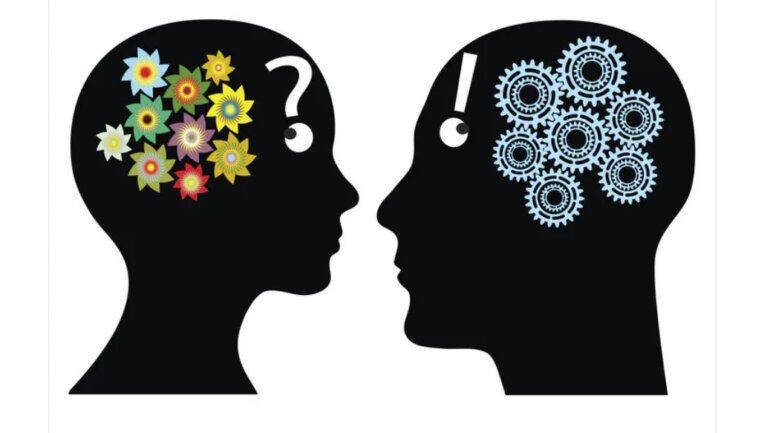 Οι περισσότεροι άνθρωποι έχουν ένα μείγμα “αρσενικού” και “θηλυκού” εγκεφάλου