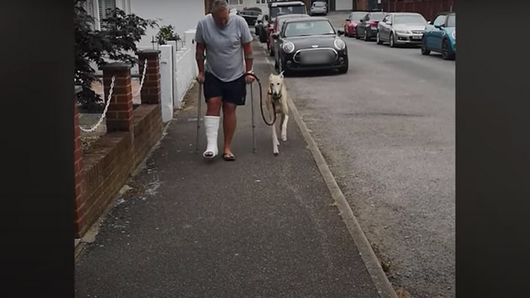 Σκύλος μιμείται το περπάτημα του ιδιοκτήτη του