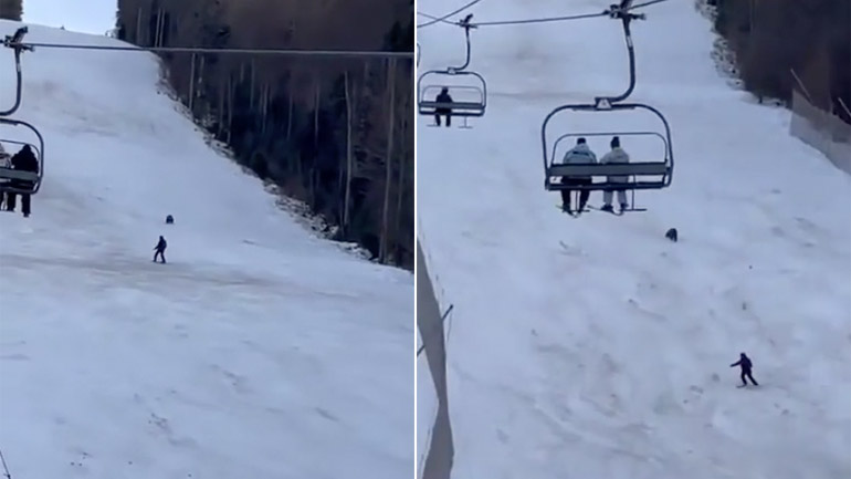 Αρκούδα κυνηγά έναν σκιέρ