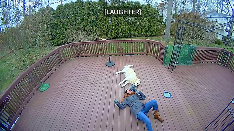 Ο σκύλος πέρασε τη γούνινη κουκούλα για παιχνίδι