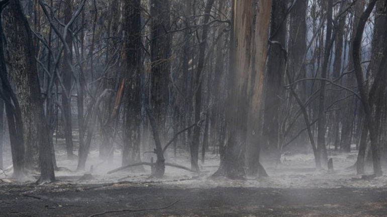 Αργεντινή: Πυρκαγιά κατέκαψε 65.000 στρέμματα δασικών εκτάσεων