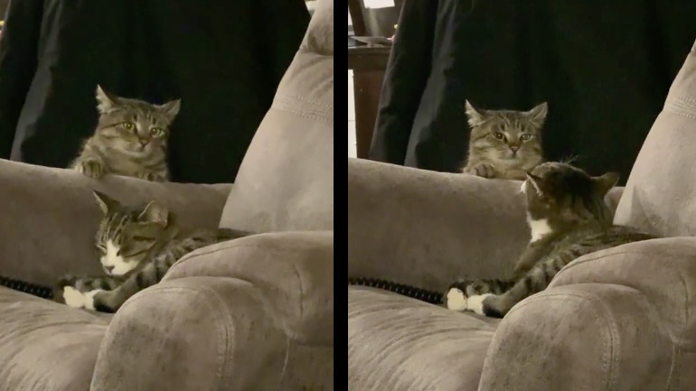 Πράκτορας εγκαταλείπει την αποστολή του