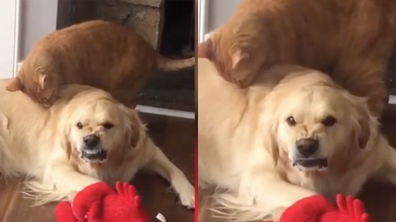 Όταν μισείς κάποιον, αλλά πρέπει να τον ανέχεσαι