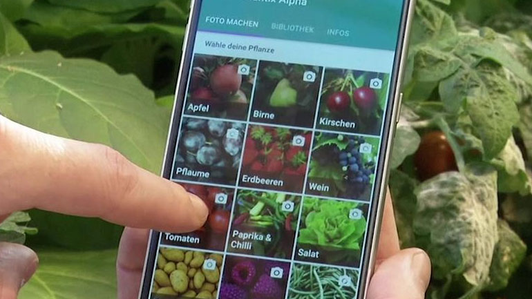 Hλεκτρονικός οδηγός ψηφιακού μετασχηματισμού για αγροδιατροφικές επιχειρήσεις Hλεκτρονικός οδηγός ψηφιακού μετασχηματισμού για αγροδιατροφικές επιχειρήσεις