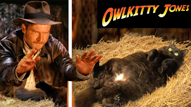 Ο Indiana Jones ανακαλύπτει μια γάτα