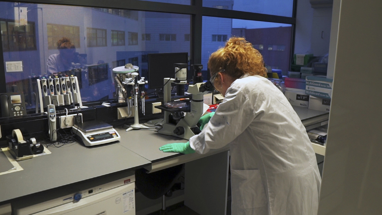 Aποτελεσματικό κατά 66% το εμβόλιο της Johnson & Johnson – Λιγότερο στο νοτιοαφρικανικό στέλεχος