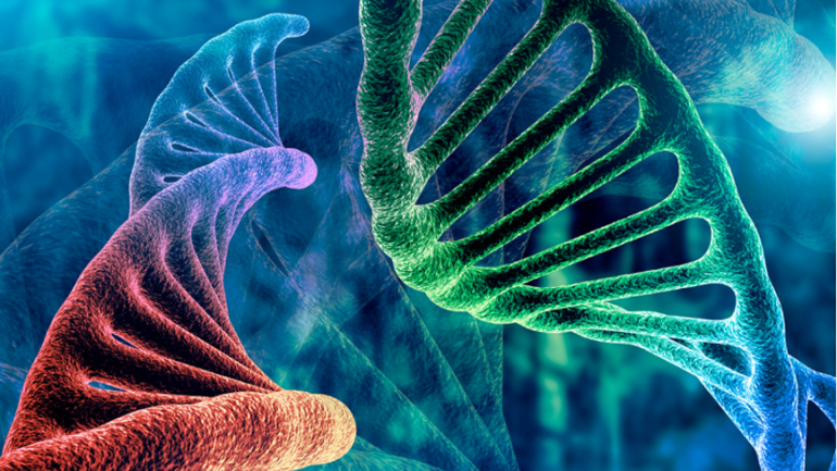 Ανοσοθεραπεία: Η μεγάλη ελπίδα για τη θεραπεία του καρκίνου