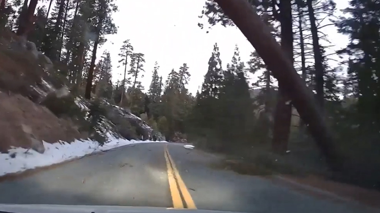 Οδηγός καταγράφει την πτώση του δέντρου στο αυτοκίνητό του