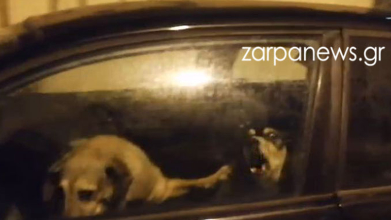 Χανιά: Κλείδωσε τρία σκυλιά μέσα σε αυτοκίνητο με κλειστά παράθυρα