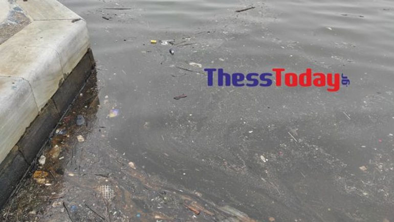 Βούρκος ο Θερμαϊκός στη Θεσσαλονίκη