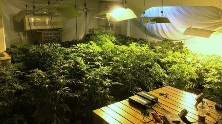 Σέρρες: Η ντουλάπα οδηγούσε σε υπόγειο φυτώριο κάνναβης