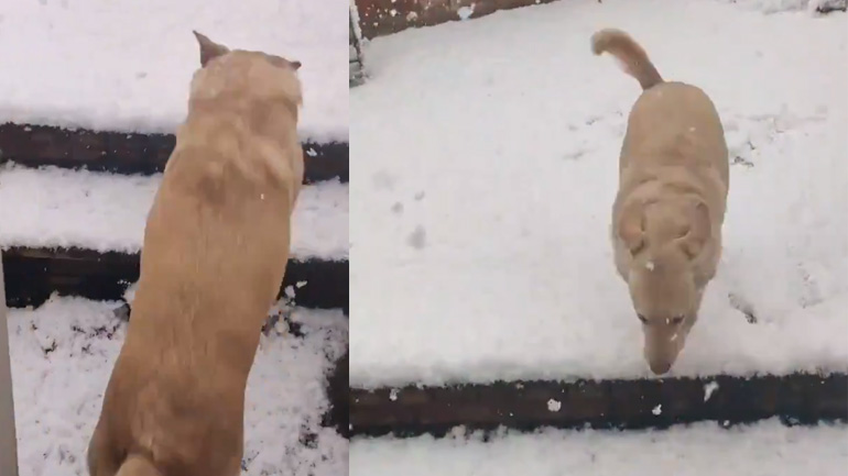 Άσ’ το καλύτερα! Άσ’ το καλύτερα!