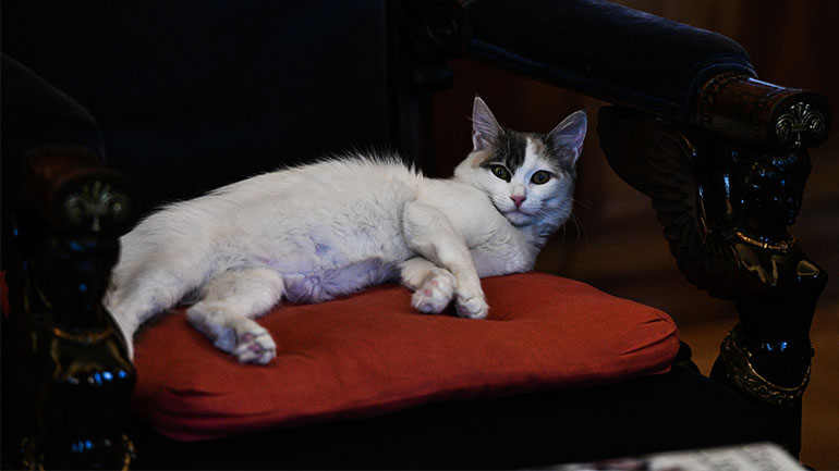 Η Καλυψώ έκανε κατάληψη στην πολυθρόνα της Κατερίνας Σακελλαροπούλου