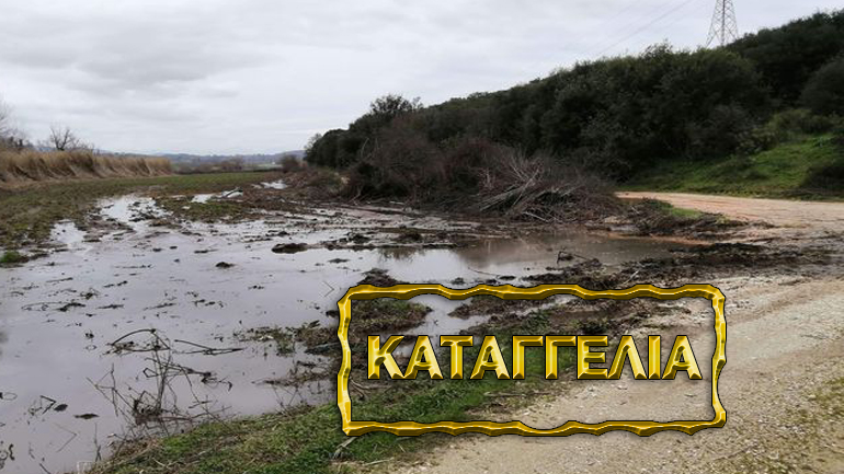 Καταγγελία: Βιομηχανίες μολύνουν αρδευτικό κανάλι στην Πρέβεζα και ψοφάνε ζώα της περιοχής