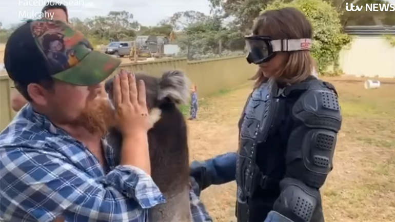 Δημοσιογράφος συναντά την πιο επικίνδυνη αρκούδα της Αυστραλίας