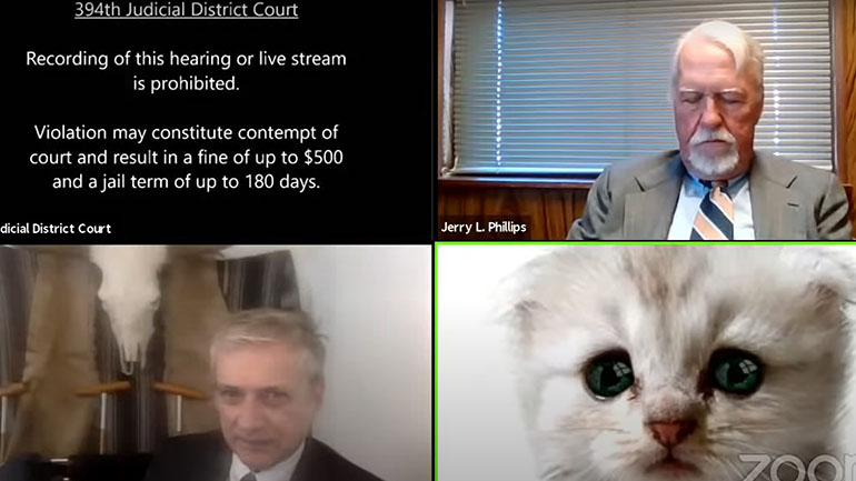 Δικηγόρος σε κλήση zoom με δικαστή «μετατρέπεται» σε… γάτα