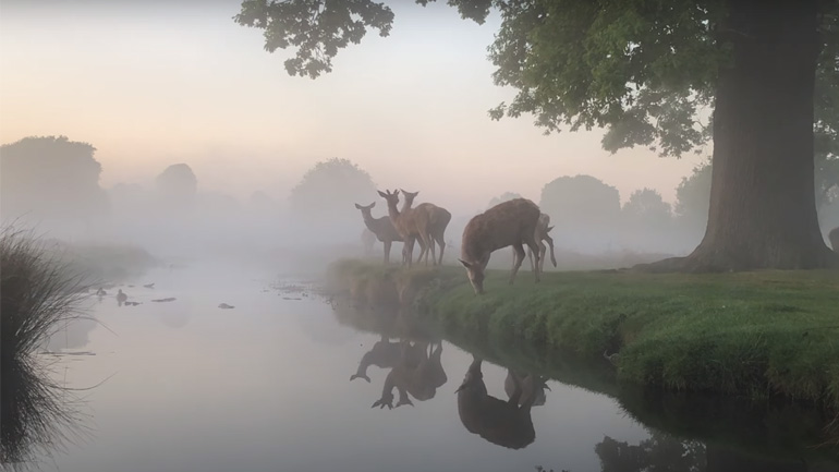 Τοπίο βγαλμένο από παραμύθι