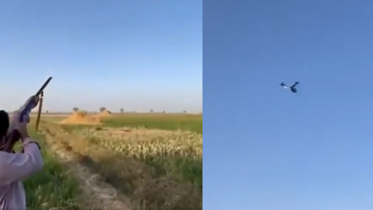 Πουλί καμικάζι