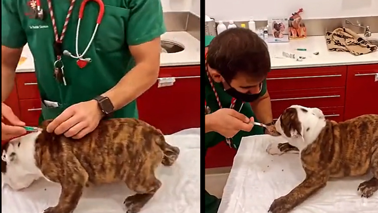 Δεν παρατήρησε καν την ένεση Δεν παρατήρησε καν την ένεση