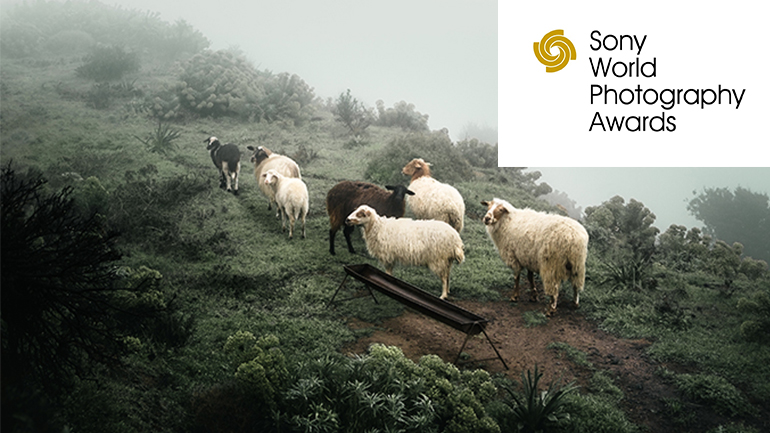 Η Sony και ο Παγκόσμιος Οργανισμός Φωτογραφίας ανακοινώνουν τον Έλληνα νικητή