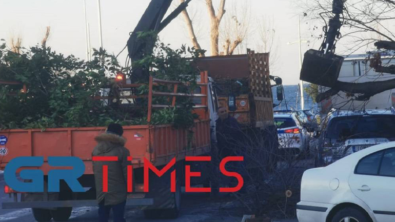 Θεσσαλονίκη: Δέντρο έπεσε σε φανάρι από τον δυνατό αέρα Θεσσαλονίκη: Δέντρο έπεσε σε φανάρι από τον δυνατό αέρα