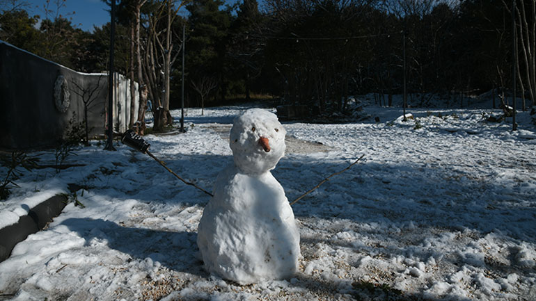 Θεσσαλονίκη: Χιόνια και τσουχτερό κρύο έφερε η «Μήδεια»