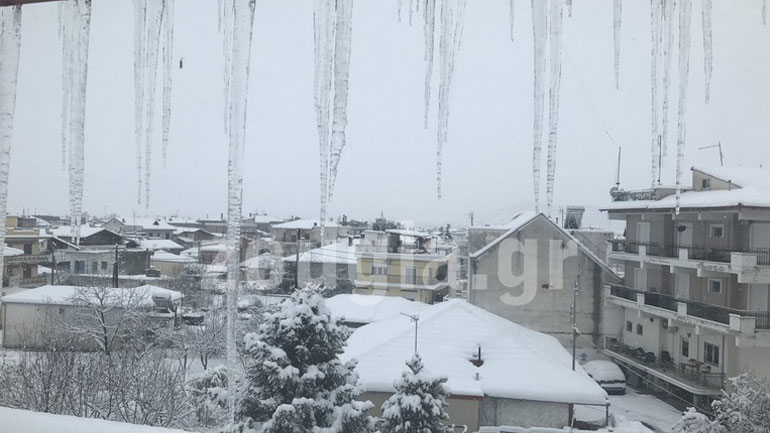Πυκνή χιονόπτωση και στην Ελασσόνα