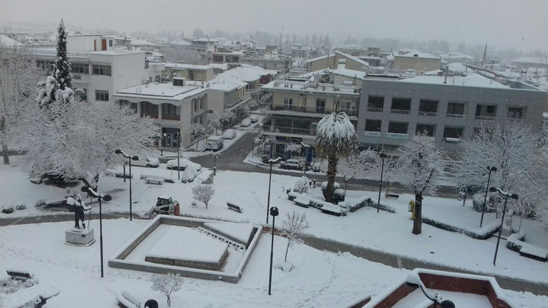 Στα λευκά «ντύθηκαν» τα Φάρσαλα