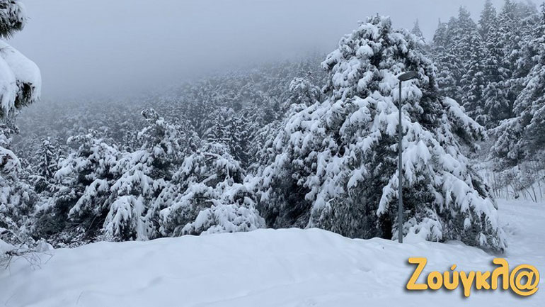 Η «Μήδεια» έντυσε στα άσπρα και τα Φάρσαλα – Μαγικές εικόνες