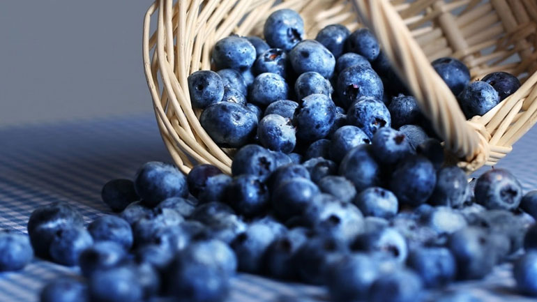 Γιατί αποκαλούν τo μύρτιλο ελιξήριο της νεότητας;