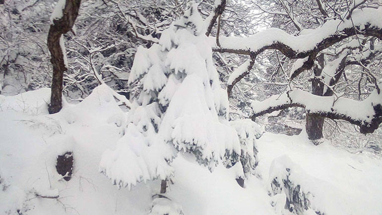 Στα λευκά το Τρίλοφο Ημαθίας