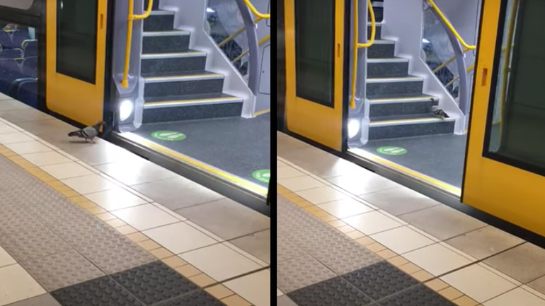 Όταν έχεις κουραστεί να πετάς