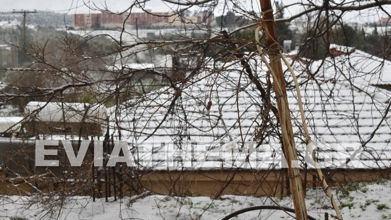 Σε λευκό κλοιό η Εύβοια – Το χιόνι έφτασε τα δύο μέτρα