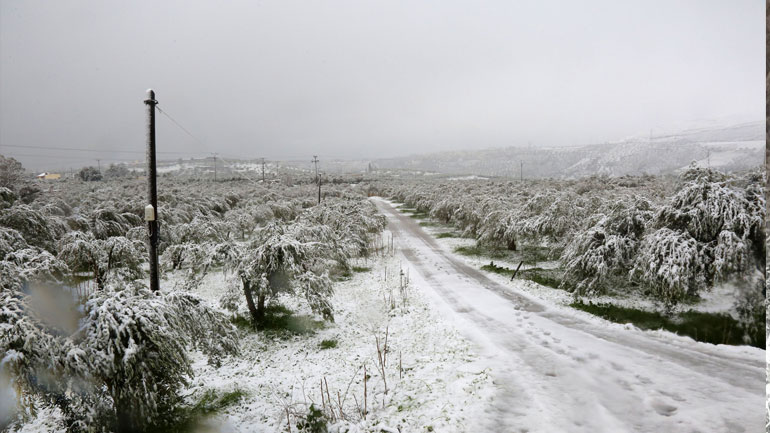 Σε εξέλιξη επιχείρηση διάσωσης στο Οροπέδιο Λασιθίου Σε εξέλιξη επιχείρηση διάσωσης στο Οροπέδιο Λασιθίου