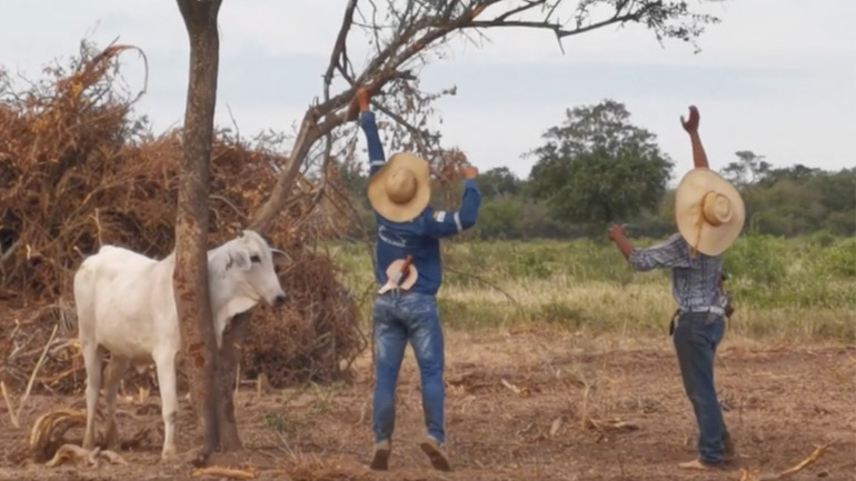 Δύο άνδρες απεγκλωβίζουν έναν ταύρο (Βολιβία)