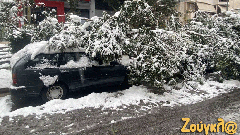 Κομμένα καλώδια της ΔΕΗ και πτώσεις δέντρων και στο Γαλάτσι